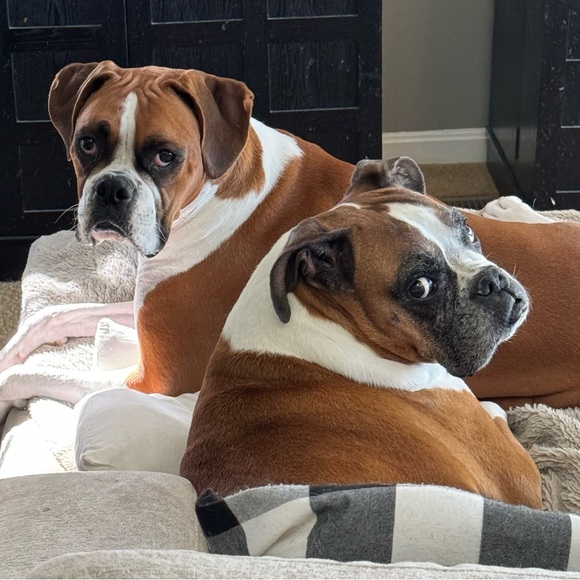 Meet your Seller/buyer,Charlie 😃 - Picture 8 of 8